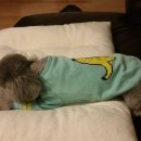 너.애.개 이미지