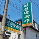 원주 정선 막국수 후기