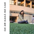 밀리고 밀린 이것저것 얼렁뚱땅 봄의 직장인 일상