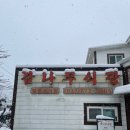 감나무식당 이미지