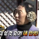 꼬마애견 이미지