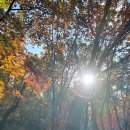 (유)대신건설 | ⛰️ 관악산 등반 후기.. 바나나를 챙기시오..