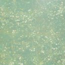 그남자네 | 그 남자네 집 (알라딘 리커버 특별판) | 박완서