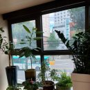 정지은한의원 이미지