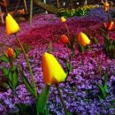 서산중앙병원 이미지