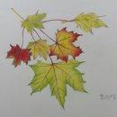 초등 미술 이미지