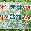 사선농장 이미지
