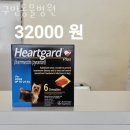 구민동물병원 | 강동구 천호동 동물병원 구민동물병원 위치 오는길 후기