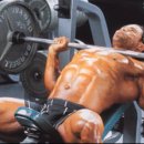 나무 휘트니스 이미지