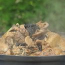 봉화약초민박 이미지