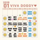 비바도기 이미지