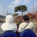 깡통열차체험 네이버블로그