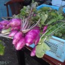 당골농장 이미지