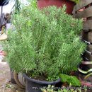 타임 - 제주시 도남로 5 | 타임