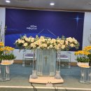 피플스교회 Daum카페