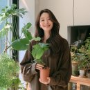 (유)사선환경 | 방구석 식물원: 돈이 되는 '희귀 관엽식물' 물꽂이 번식 및 당근마켓 분양 노하우