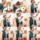 pet162거4910 | 강아지와 커플룩은 타이밍이다｜아루마루 탱크톱 블루 실착 후기