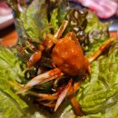 오류동 텃골(경인로15길) | 오류동역 맛집 삼겹살이 맛있는 고기싸롱 오류점 탐방 후기!! (feat. 돼지 껍데기)