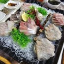 돌고래수산