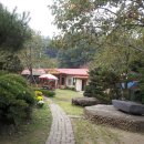 솔애유치원 이미지