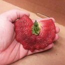 샐리의 법칙(sally´s law) 이미지