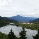 에코맘 협동조합 네이버블로그
