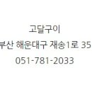 고달구이 이미지