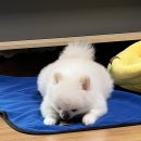 망원 휴개소 이미지