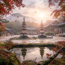 과학으로 만든 역사문화유산 | 경주 세계문화유산 시티투어 총정리 완벽코스