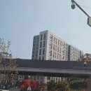 E편한세상 아파트앞 횡단보도 이미지