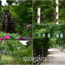 태양꽃식물원 이미지