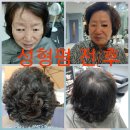 헤어죤 네이버블로그