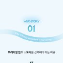 핸디스토리