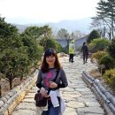 한빛여행사 - 서천군 충절로 35 | 한빛여행사