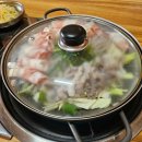 [경주] 편하게 식사 가능한 애견동반 맛집 찾는다면? &#39;하동갯벌낙지&#39;