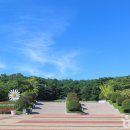 황룡강변(우안)국가하천 자전거도로-2 | [울산 중구] 태화강 국가정원 십리대숲 (은하수길) - 전 견종 가능 · 맹견 입마개 · 목줄 착용...