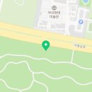 하단동1154 이미지