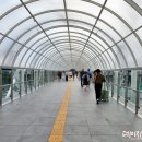 용산-409 | 소니카메라 먼지청소 / 소니 신용산 서비스센터