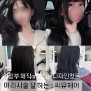 씨유 평화로점 | 의정부 머리시술 잘하는곳 :: 씨유헤어(내돈내산)