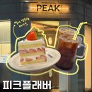 싱싱약국 | [천호동 카페] 피크플래버ㅣ천호 케이크 맛집 카페 후기