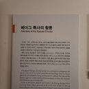 [네덜란드 워홀]3~5일차 후기