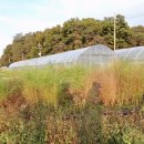 이가네농장 이미지