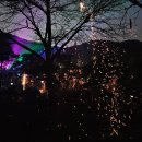 양평사 | 2024 세종 영평사 낙화축제 방문 후기