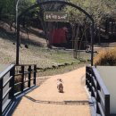 계룡숲작은도서관 이미지