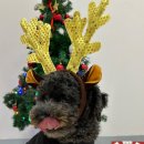 놀러오개 송파점 이미지