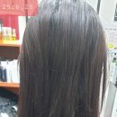 비채미