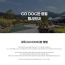 9DOG | 강원도 영월 ㅣ 펫페스티벌 GO DOG한 영월, 고독한 영월