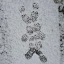 첫눈에반하다 이미지