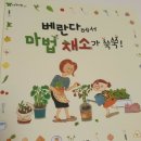 아람김밥 이미지