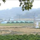 서경농장 이미지